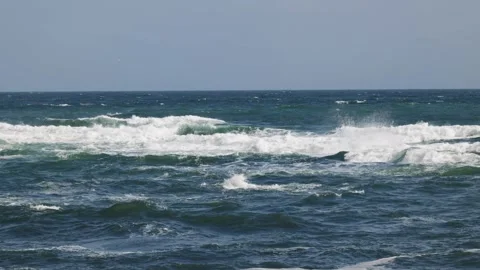 Stormy ocean with big waves Stock Footage 310838425