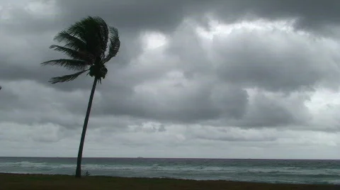 Stormy Ocean Stock Footage 490827