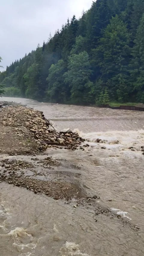 Stormy river after rain in carpathian mountains Video stock 167304792