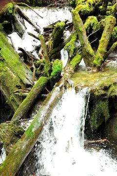 A stormy river flows down the mountain in a cascade of waterfalls, skirting s Stock Photos