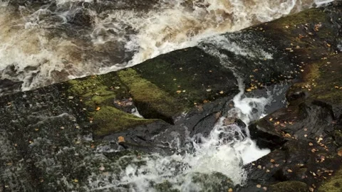A stormy river flows over rocks Video stock 319963339
