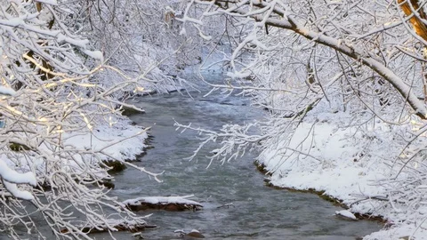 A stormy river is not covered by ice in winter Stock Footage 83323965