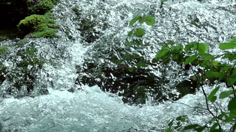 Stormy River Stream. Slow Motion 動画素材 106463246