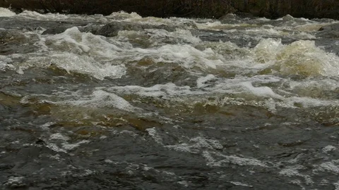 Stormy river stream of spring mountain river. Stock Footage 102748001