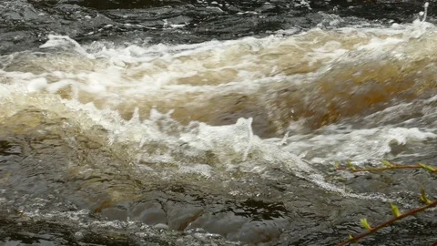 Stormy river stream of spring mountain river. Stock Footage 102748020