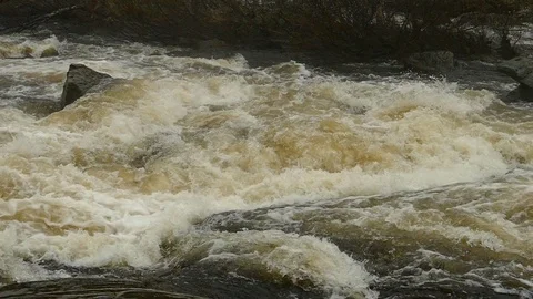 Stormy river stream of spring mountain river. Slow   motion footage. Video stock 102748271