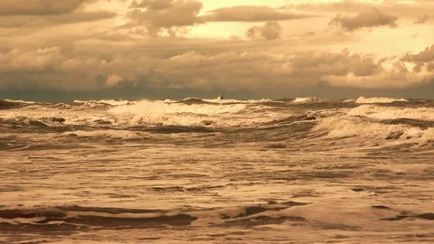 Stormy sea, high waves closeup roll on shore Video stock 101846503