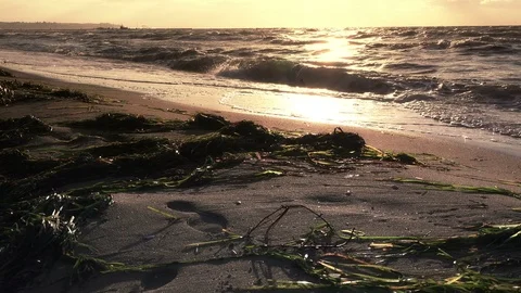 Stormy sea at sunset Stock Footage 101740969