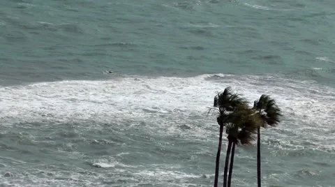 Stormy sea waves breakers blowing palm trees.mp4 Stock Footage 48667252