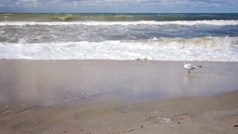 Stormy Seascape Stock Footage 95522074