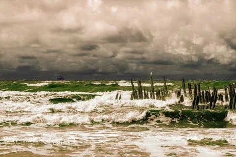Stormy seashore Stock Photos