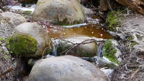 The stormy Siberian river in the pine forest Stock-Footage 277476473