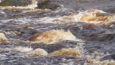 The stormy Siberian river in the pine forest Video stock 277476486