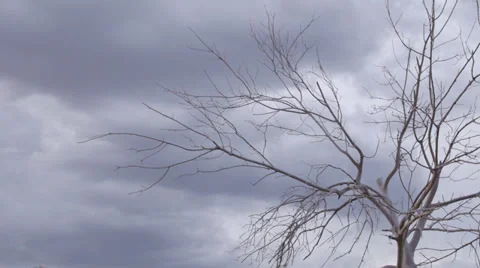 Stormy skies 2 Stock Footage 31273416