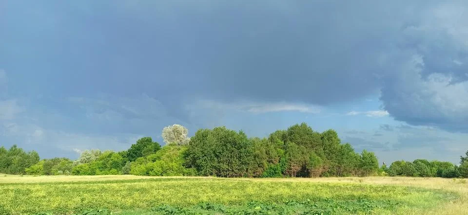 Stormy sky with dramatic dark clouds over green field and trees landscape Fotos Stock
