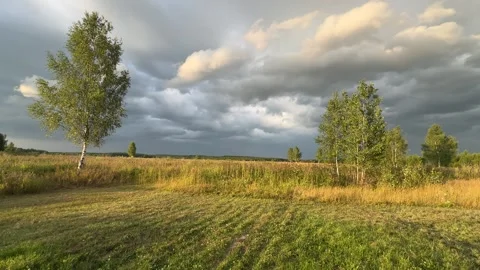 Stormy sky in a field Stock Footage 280503942