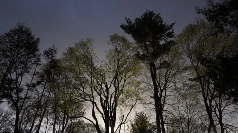 STORMY SKY Stock Footage 194022995