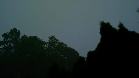 Stormy sky looming over dense forest tree line outdoors Video stock 342590888