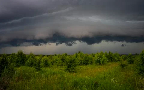Stormy sky, low thunder clouds hung over the young forest Stock Photos