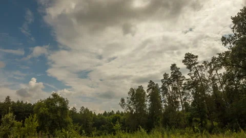 Stormy sky over meadow in forest Stock Footage 313489925