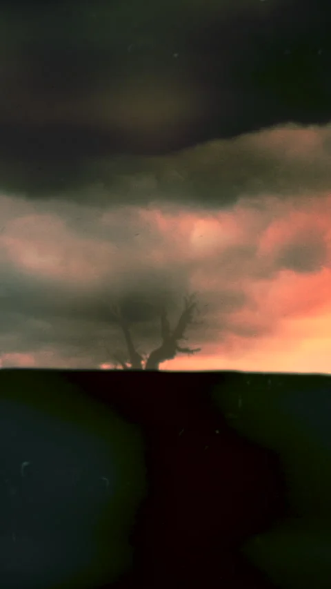 Stormy Sky Scene, Dark Clouds With Solitary Tree Silhouette Scene 動画素材 324860261