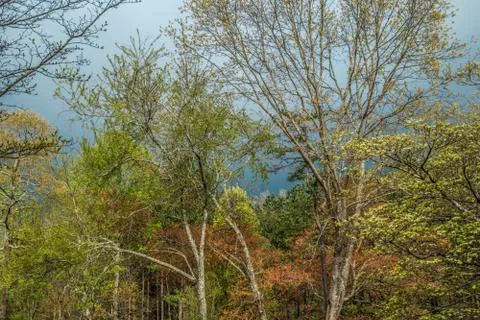 Stormy sky in springtime Stock Photos