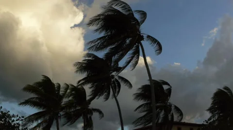 Stormy sky in tropical beach Stock Footage 45512416