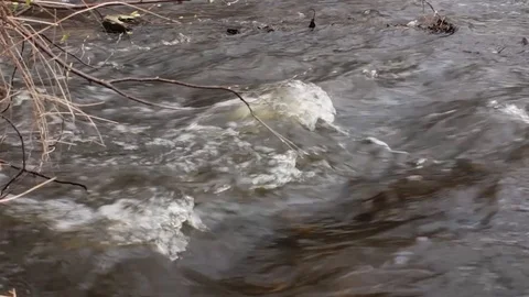 Stormy spring creek Stock Footage 105095179