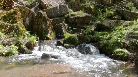 A stormy spring stream on a sunny day. Stock Footage 331170516
