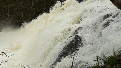 Stormy spring waterfall in the forest. Slow motion footage. Stock Footage 102748260