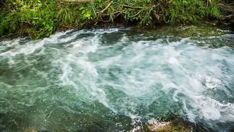 The stormy stream of the forest river Stock-Footage 79979451