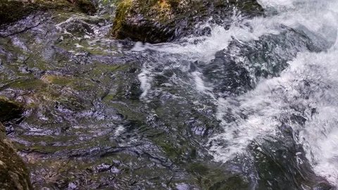 Stormy stream of a mountain river Stock-Footage 79978179