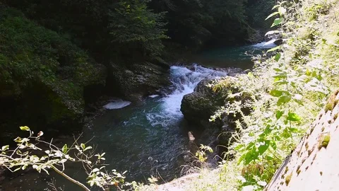 Stormy stream of the mountain river Stock Footage 80091762