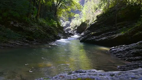 Stormy stream of the mountain river Stock Footage 80091799