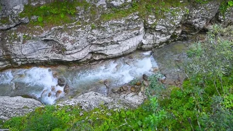 Stormy stream of the mountain river Stock Footage 80091812