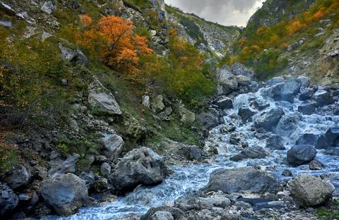 Stormy stream in a mountain river Stock Photos