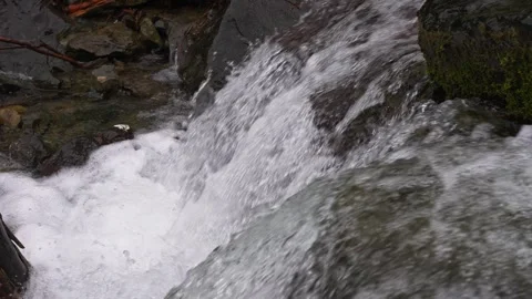 A stormy stream of a mountain stream flows through the stones. Pure water in a Stock Footage 246908332