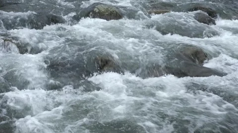 A stormy stream quickly drives water in a mountain stream. Stock Footage 273265648