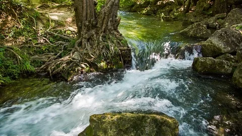 A stormy stream of river water between rocks and a tree 스톡 동영상 81000515