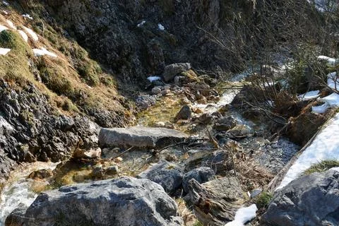 A stormy stream of a stream flows along the gorge of a winter rivulet Stock Photos