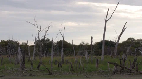 Stormy sunset 1 Stock Footage 31280671