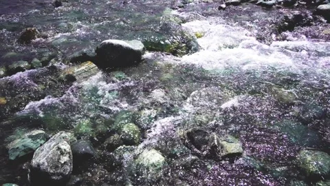 Stormy water on a mountain river Stock Footage 259092655