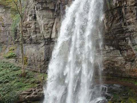 A stormy waterfall flows from a cliff into a gorge. View of the waterfall under Stock Photos