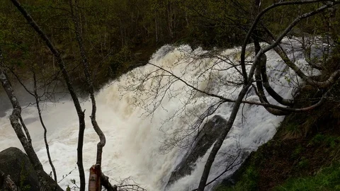 Stormy waterfall in the forest. Stock Footage 102747598
