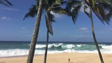 Stormy waves Hawaii Stock Footage 147368961