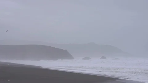 Stormy Waves. Landscape with seagull 스톡 동영상 112954472