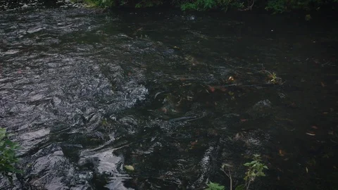 Stormy waves in a small river Stock Footage 118536965