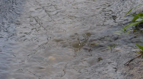 STORMY WEATHER Stock Footage 24976556