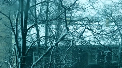 Stormy weather Stock Footage 46198099