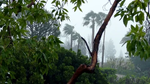 Stormy Weather Stock Footage 78078971